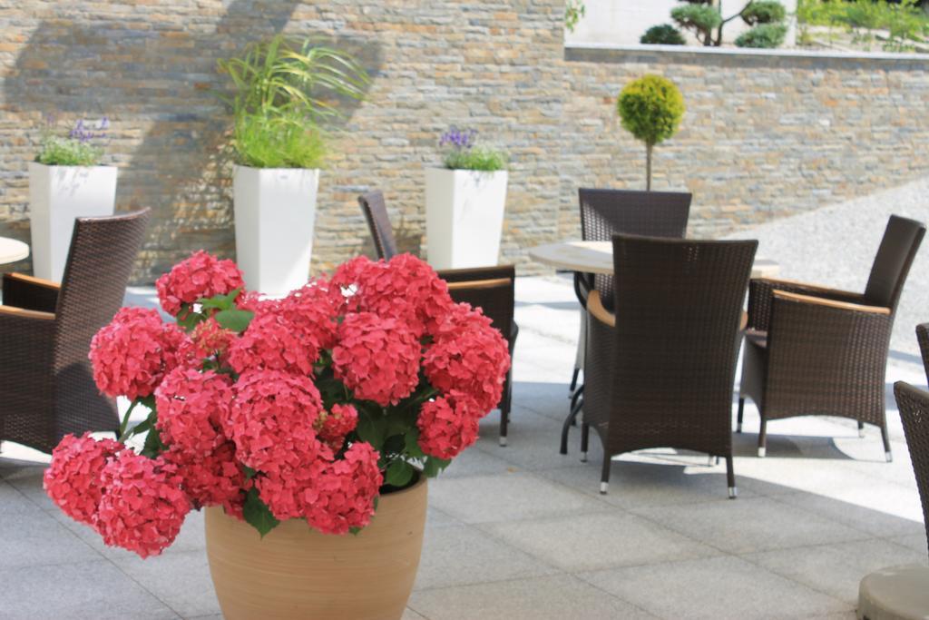 Hotel Willa Hueta 키엘체 외부 사진